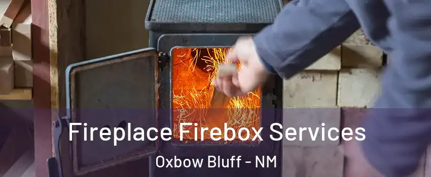 Fireplace Firebox Services Oxbow Bluff - NM