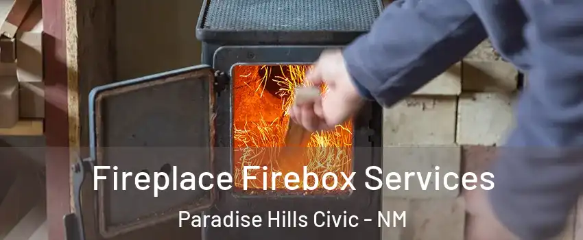 Fireplace Firebox Services Paradise Hills Civic - NM