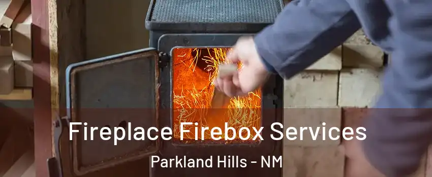 Fireplace Firebox Services Parkland Hills - NM