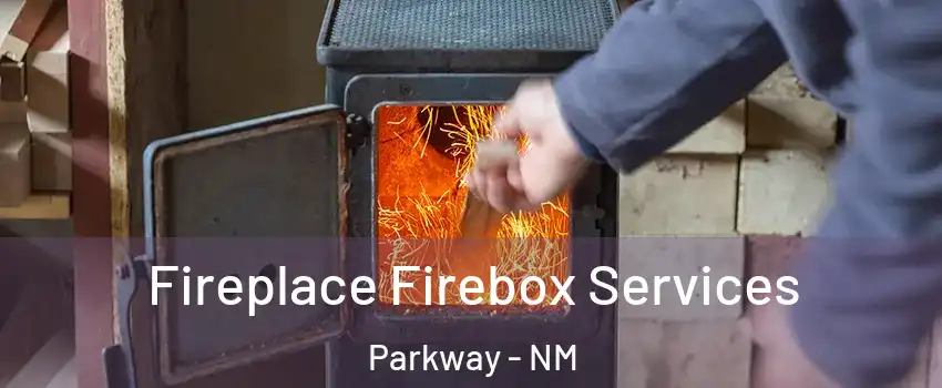 Fireplace Firebox Services Parkway - NM