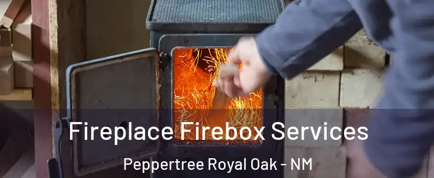 Fireplace Firebox Services Peppertree Royal Oak - NM