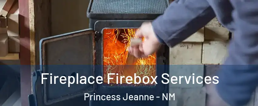 Fireplace Firebox Services Princess Jeanne - NM