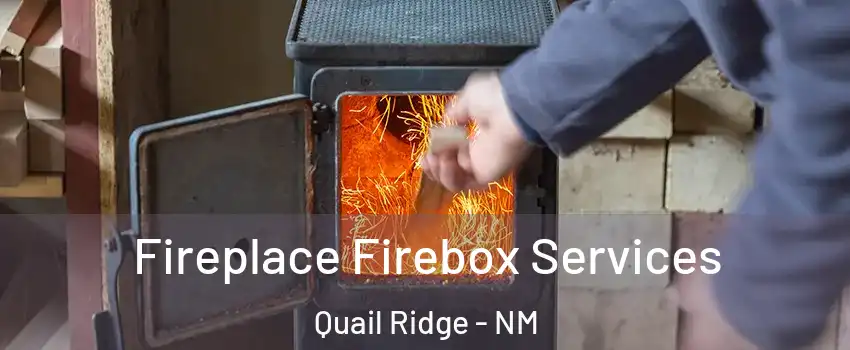 Fireplace Firebox Services Quail Ridge - NM