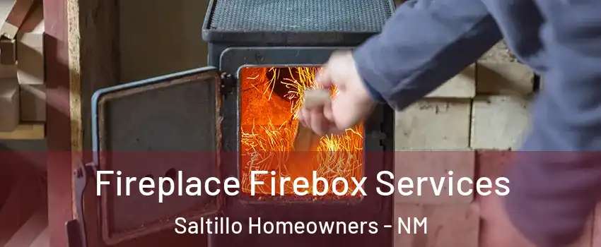 Fireplace Firebox Services Saltillo Homeowners - NM
