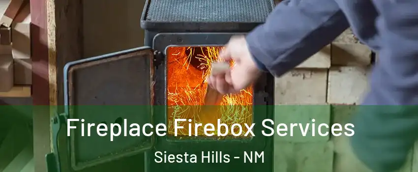 Fireplace Firebox Services Siesta Hills - NM