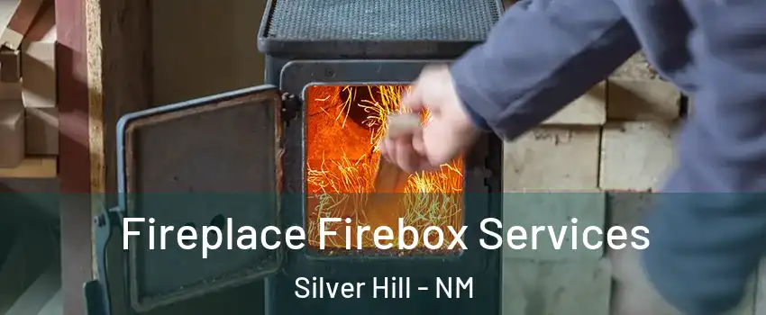 Fireplace Firebox Services Silver Hill - NM