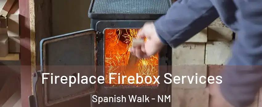 Fireplace Firebox Services Spanish Walk - NM