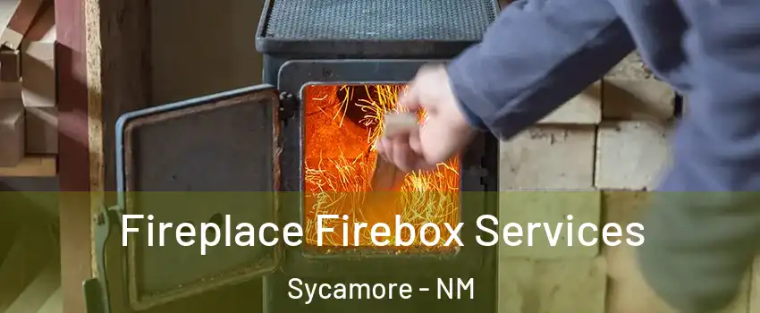 Fireplace Firebox Services Sycamore - NM