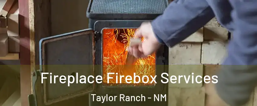 Fireplace Firebox Services Taylor Ranch - NM