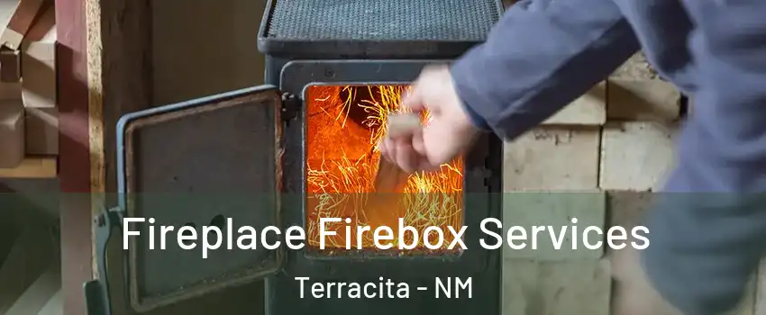 Fireplace Firebox Services Terracita - NM