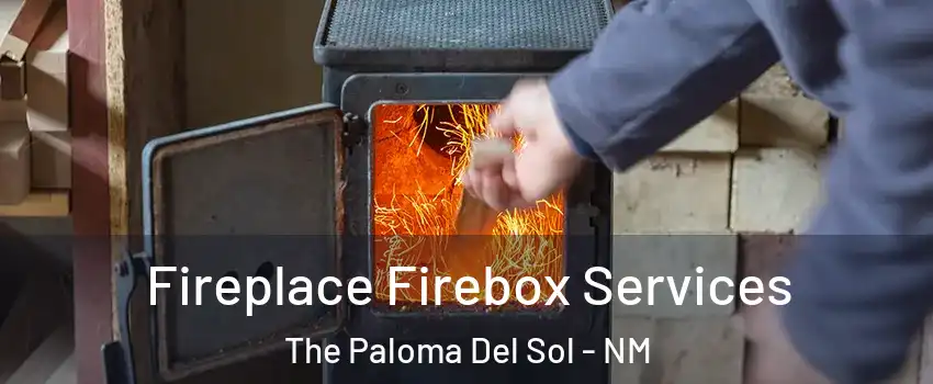 Fireplace Firebox Services The Paloma Del Sol - NM