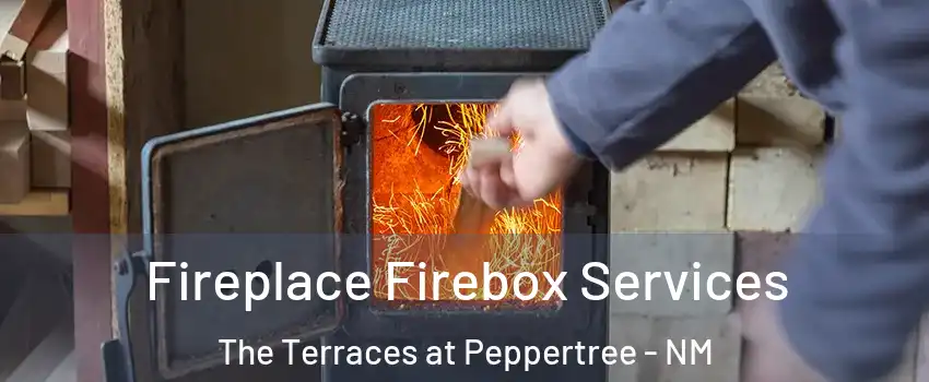 Fireplace Firebox Services The Terraces at Peppertree - NM