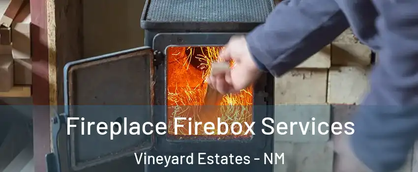 Fireplace Firebox Services Vineyard Estates - NM
