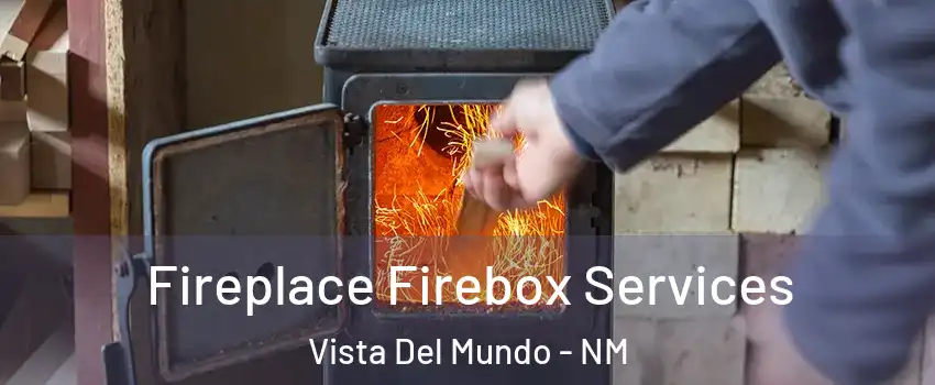 Fireplace Firebox Services Vista Del Mundo - NM