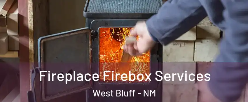 Fireplace Firebox Services West Bluff - NM
