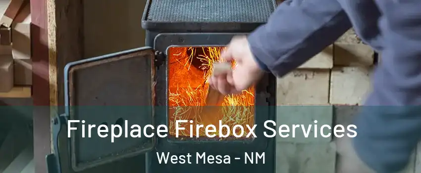 Fireplace Firebox Services West Mesa - NM