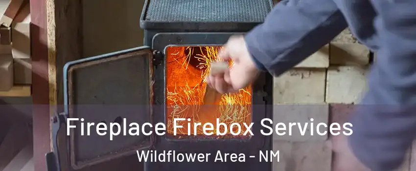 Fireplace Firebox Services Wildflower Area - NM
