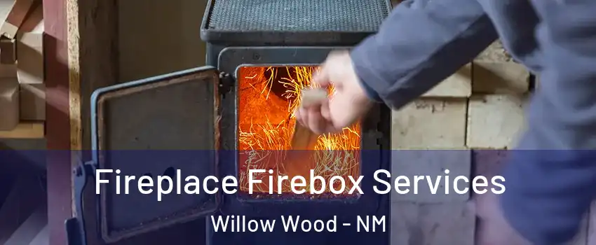 Fireplace Firebox Services Willow Wood - NM