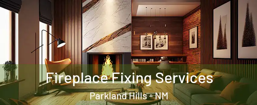 Fireplace Fixing Services Parkland Hills - NM