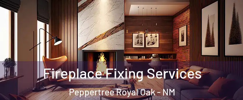 Fireplace Fixing Services Peppertree Royal Oak - NM