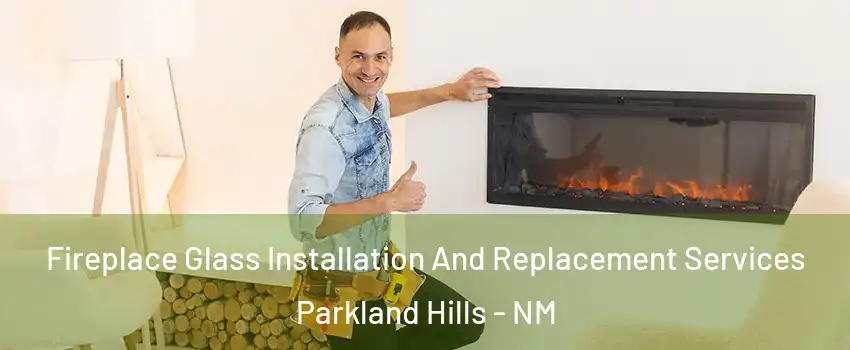 Fireplace Glass Installation And Replacement Services Parkland Hills - NM