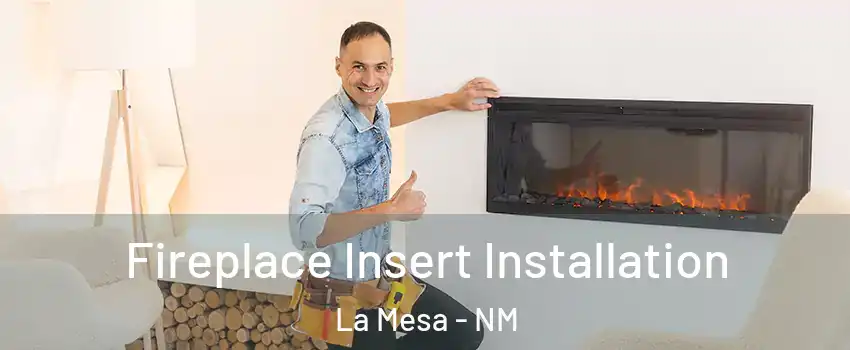 Fireplace Insert Installation La Mesa - NM