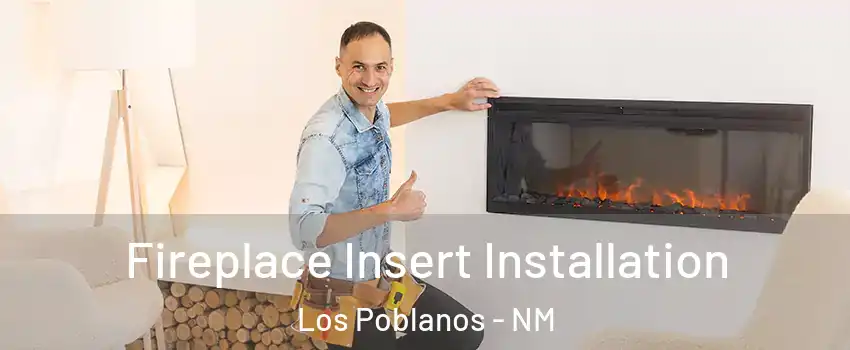 Fireplace Insert Installation Los Poblanos - NM