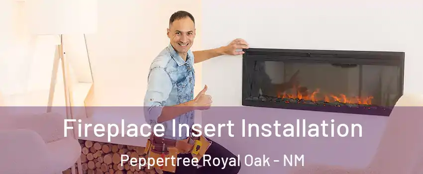 Fireplace Insert Installation Peppertree Royal Oak - NM