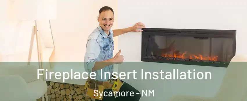 Fireplace Insert Installation Sycamore - NM