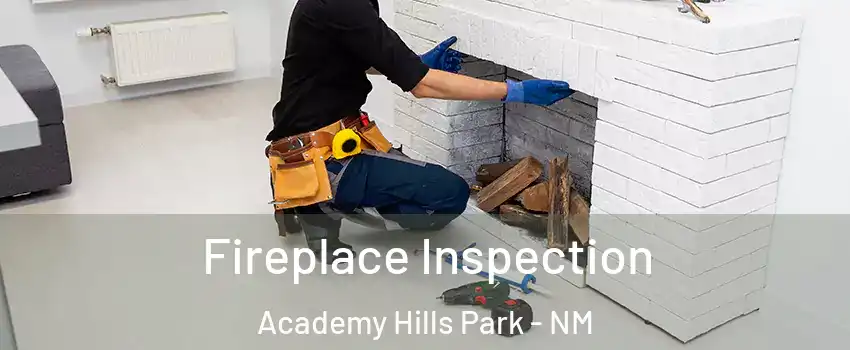 Fireplace Inspection Academy Hills Park - NM