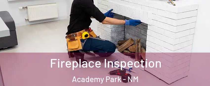 Fireplace Inspection Academy Park - NM