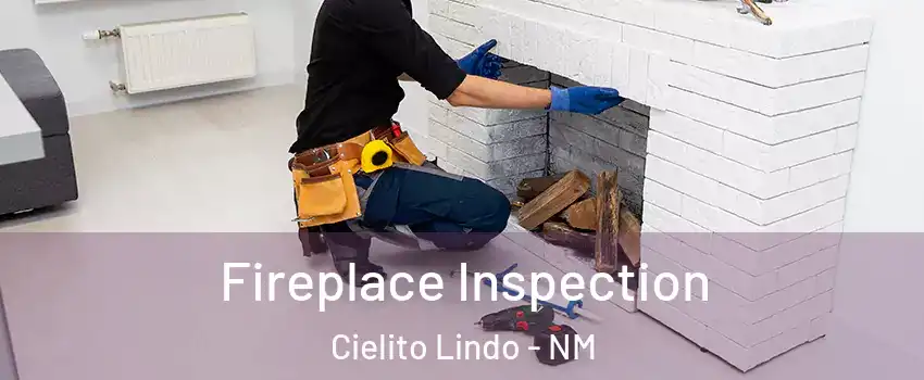 Fireplace Inspection Cielito Lindo - NM