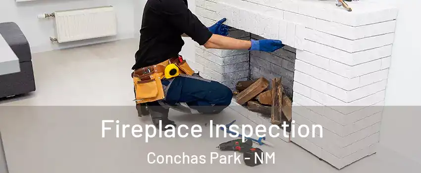 Fireplace Inspection Conchas Park - NM