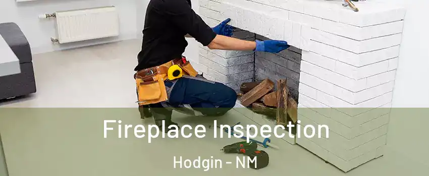 Fireplace Inspection Hodgin - NM