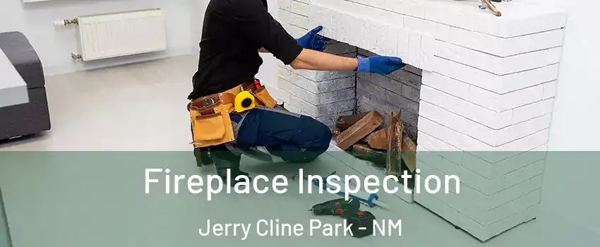 Fireplace Inspection Jerry Cline Park - NM
