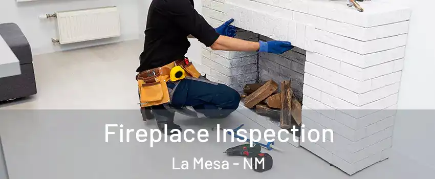 Fireplace Inspection La Mesa - NM