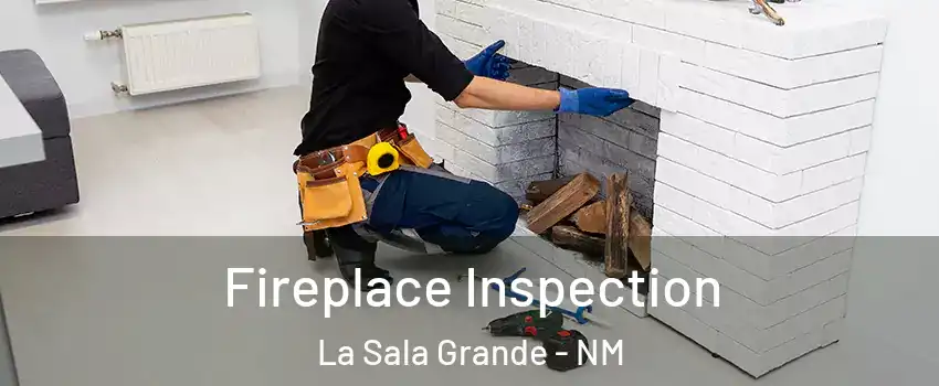 Fireplace Inspection La Sala Grande - NM