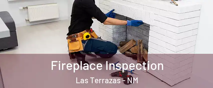 Fireplace Inspection Las Terrazas - NM