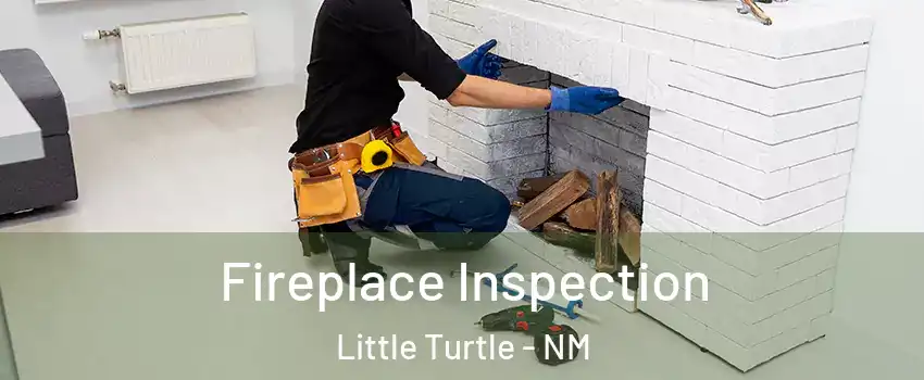 Fireplace Inspection Little Turtle - NM