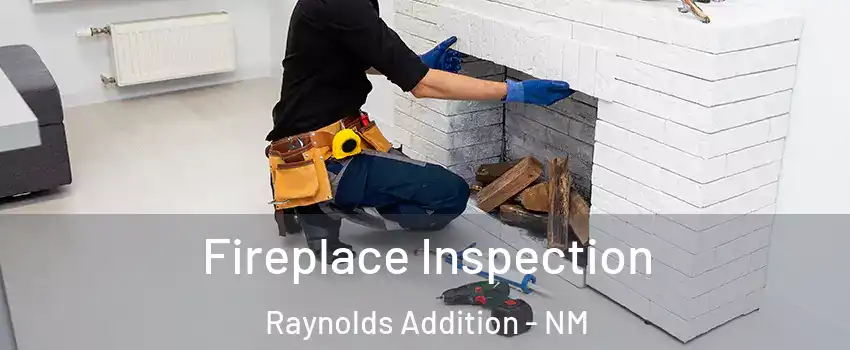 Fireplace Inspection Raynolds Addition - NM