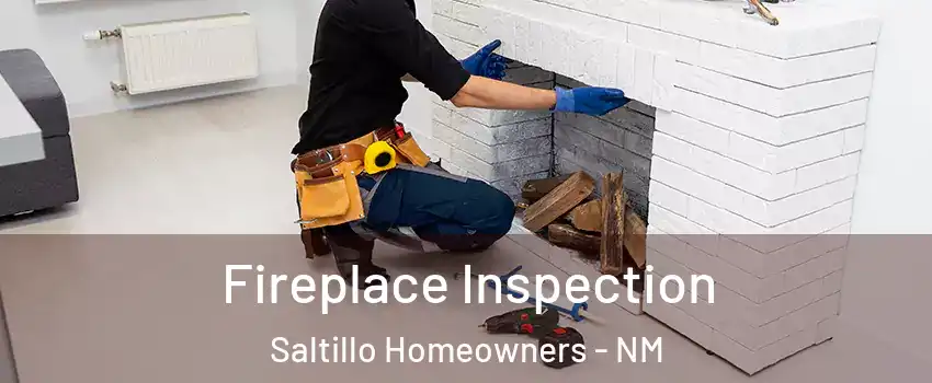Fireplace Inspection Saltillo Homeowners - NM