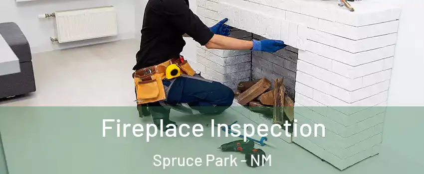 Fireplace Inspection Spruce Park - NM