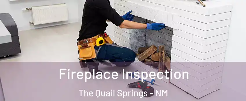 Fireplace Inspection The Quail Springs - NM