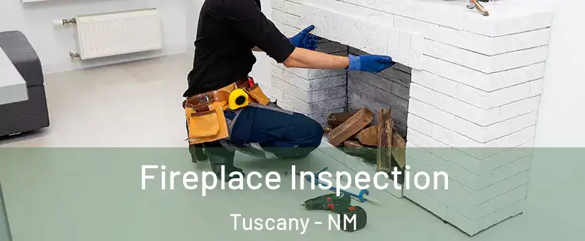 Fireplace Inspection Tuscany - NM