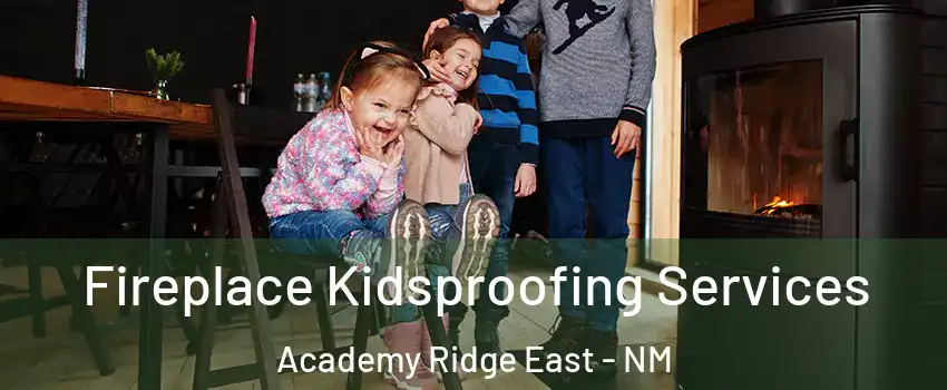 Fireplace Kidsproofing Services Academy Ridge East - NM