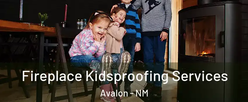 Fireplace Kidsproofing Services Avalon - NM