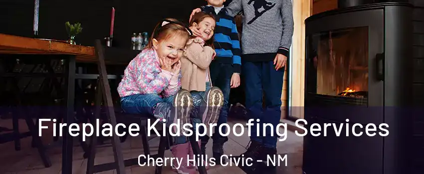 Fireplace Kidsproofing Services Cherry Hills Civic - NM