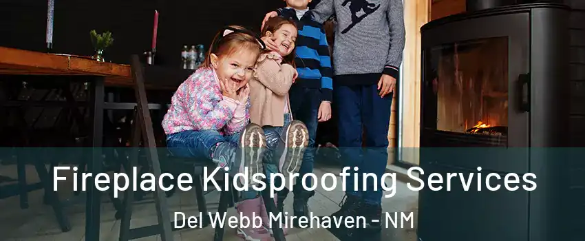 Fireplace Kidsproofing Services Del Webb Mirehaven - NM