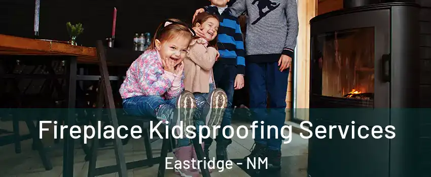 Fireplace Kidsproofing Services Eastridge - NM