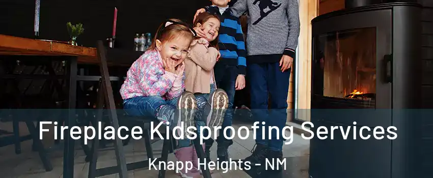 Fireplace Kidsproofing Services Knapp Heights - NM